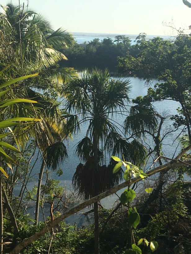 FC7E4673-61B2-41D1-BC9C-CF13727BA4B1